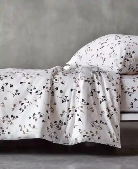 Boss Home Valerian Graphic Shams Pair, King - Beige