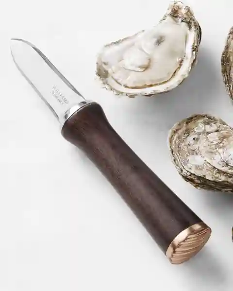 Billy Reid Billy Reid X Williams Sonoma Oyster Knife, Black