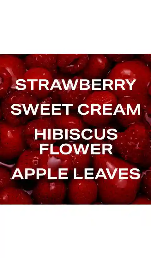PHLUR Berry Cream Hair And Body Mist 8oz in Beauty: NA.